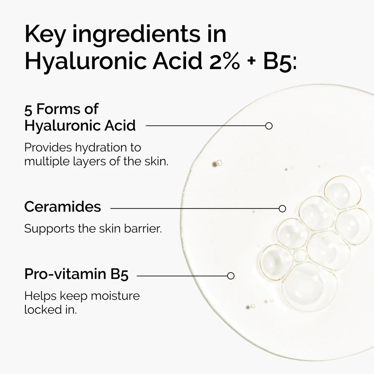 Hyaluronic Acid 2% + B5 (with Ceramides)